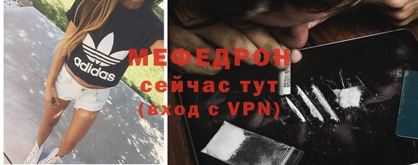 сатива Строитель